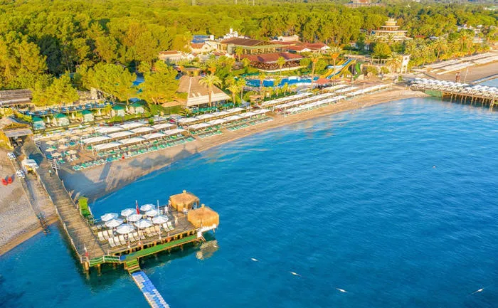 Gypsophila Club Marine